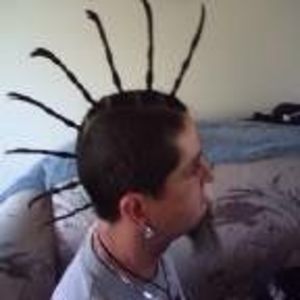 Meet your Posher, Roy